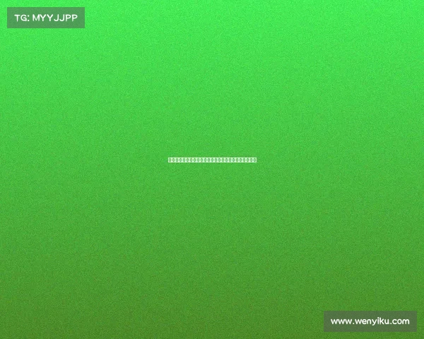 英超球员的奢华生活揭秘:从豪宅到私人飞机的幕后故事